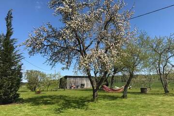 Фото номера Дом с 2 спальнями Дома для отпуска Newly renovated Latvian farm house г. Kraujas 14