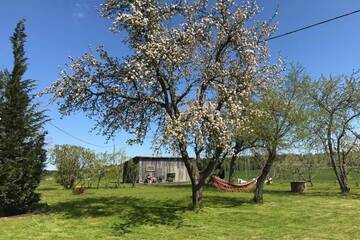Фото номера Дом с 2 спальнями Дома для отпуска Newly renovated Latvian farm house г. Kraujas 32